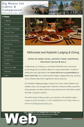 Web Design and Development Services